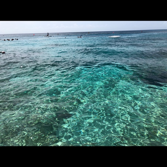 Meet your Posher, Josie - Picture 2 of 4